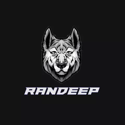 Name DP: randeep
