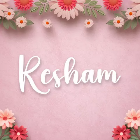 Name DP: resham