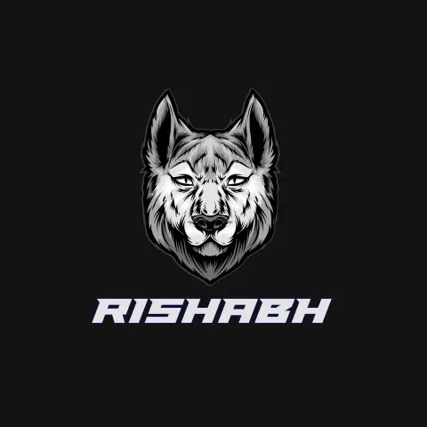 Name DP: rishabh