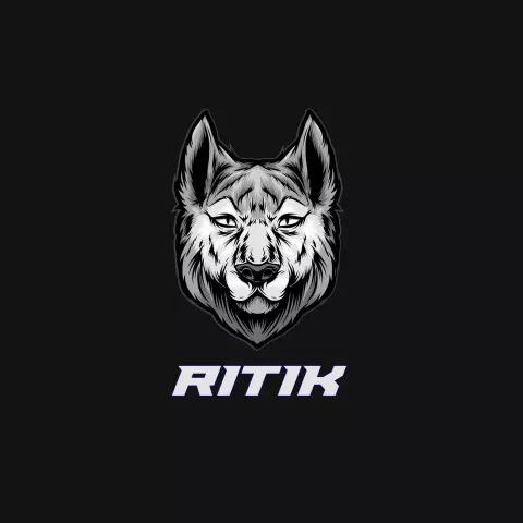 Name DP: ritik