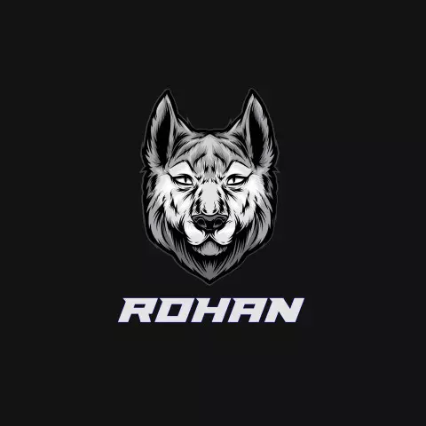 Name DP: rohan
