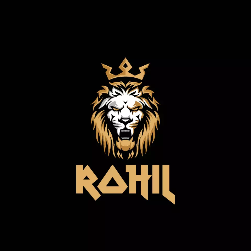 Name DP: rohil