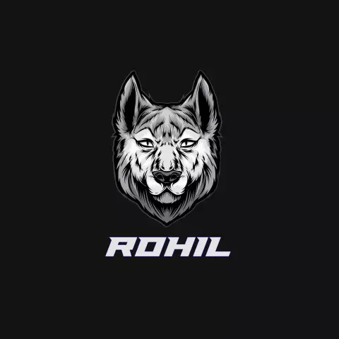 Name DP: rohil
