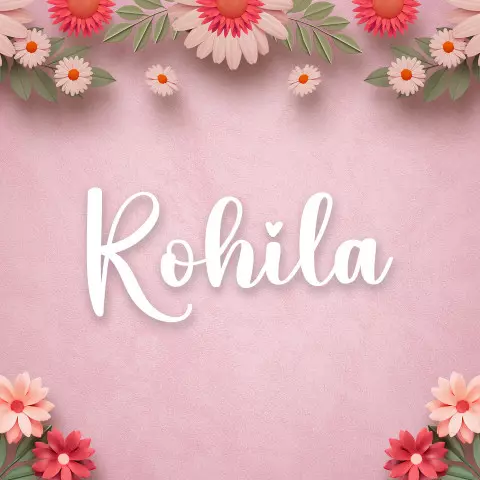 Name DP: rohila