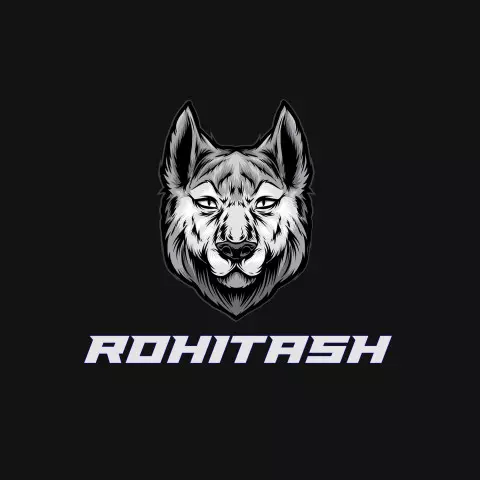 Name DP: rohitash