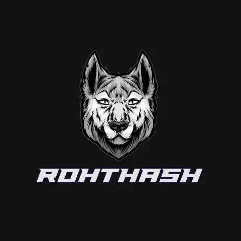 Name DP: rohthash