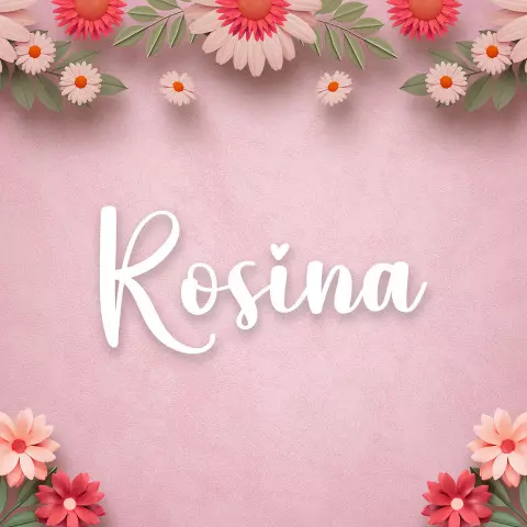 Name DP: rosina
