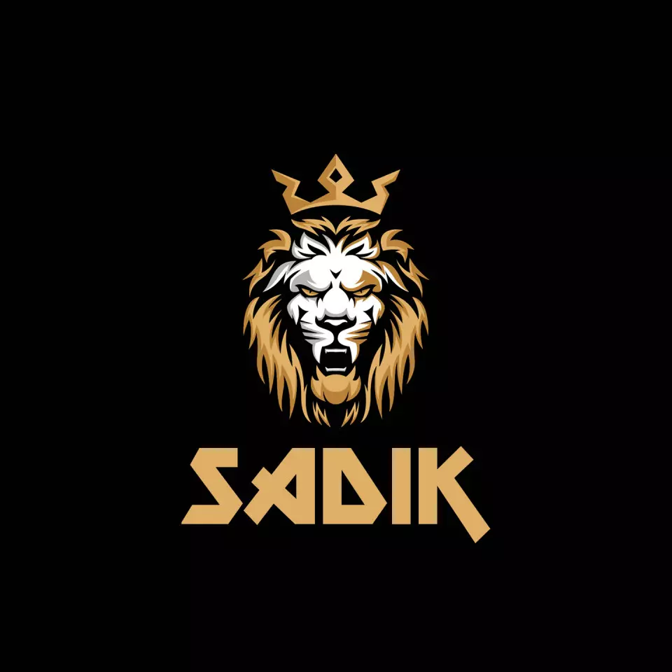 Name DP: sadik