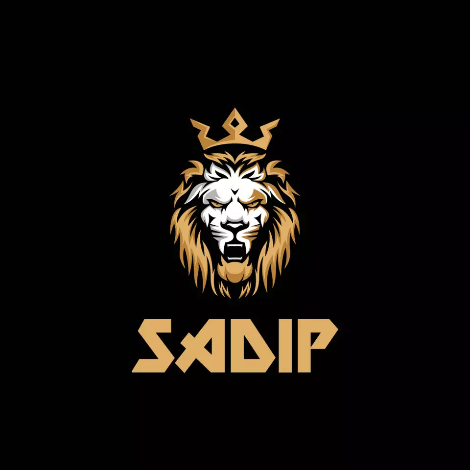 Name DP: sadip