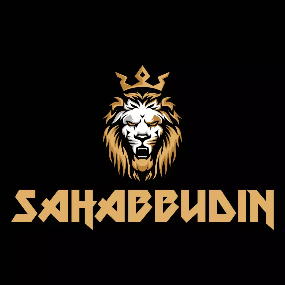 Name DP: sahabbudin