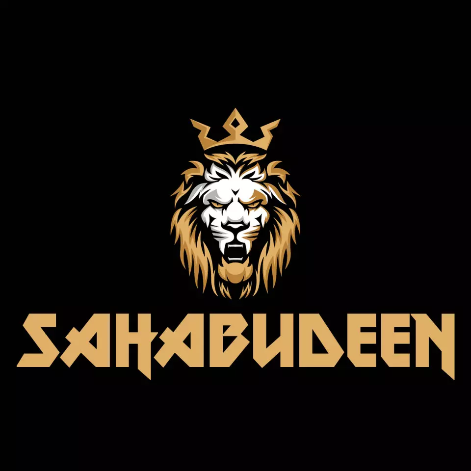 Name DP: sahabudeen