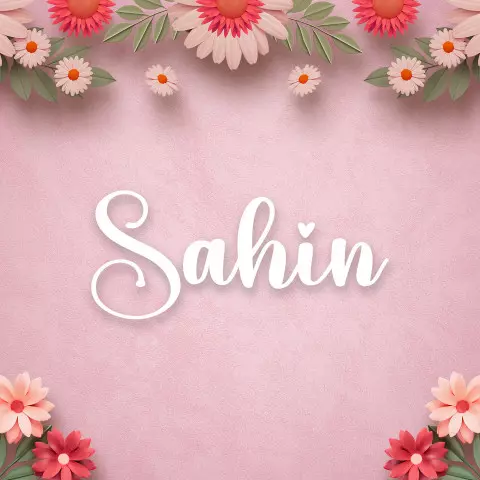 Name DP: sahin