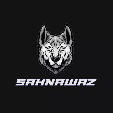 Name DP: sahnawaz