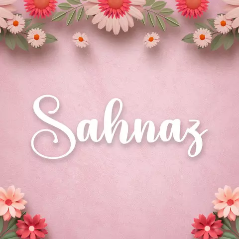 Name DP: sahnaz