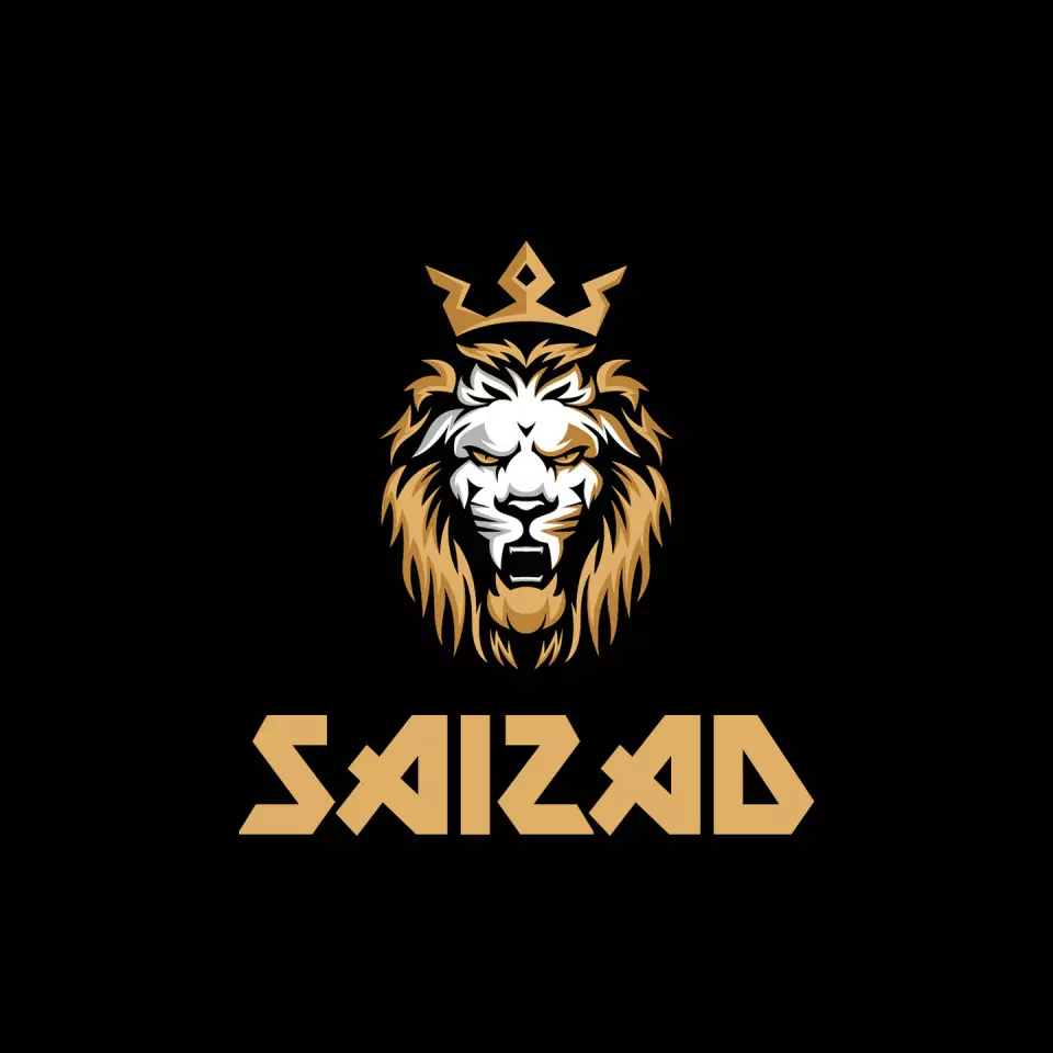 Name DP: saizad