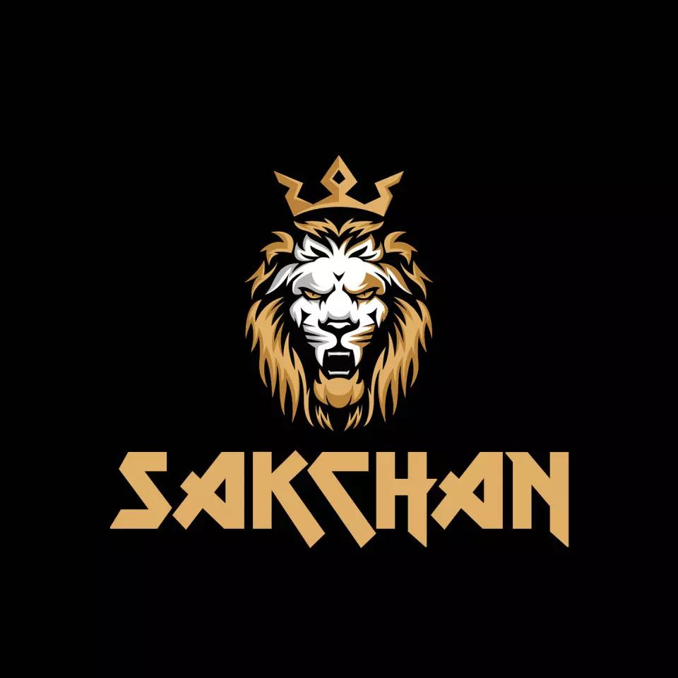 Name DP: sakchan