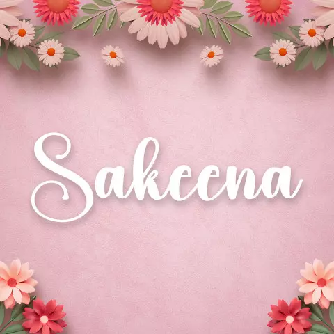 Name DP: sakeena