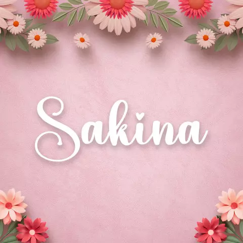 Name DP: sakina