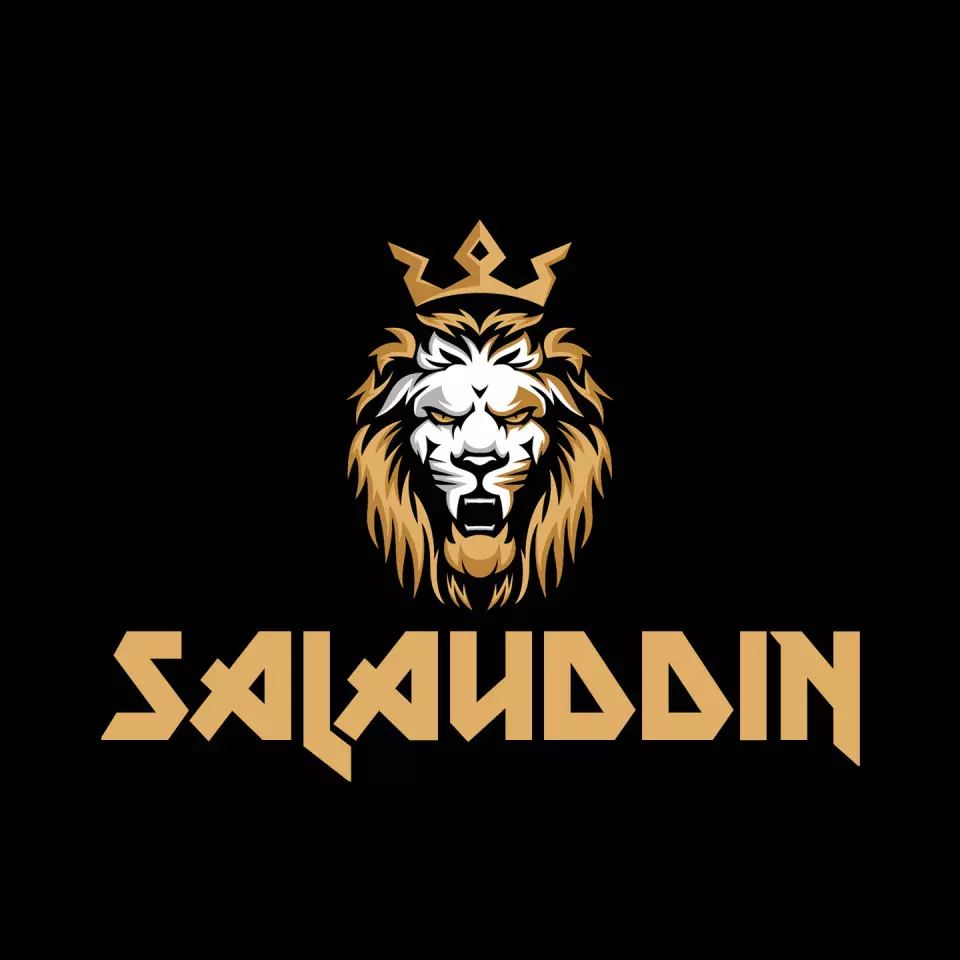 Name DP: salauddin