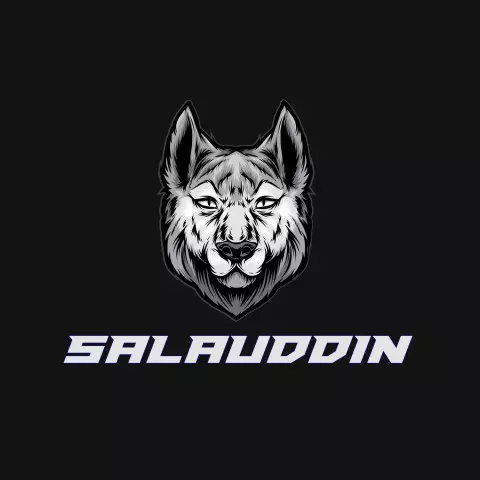Name DP: salauddin