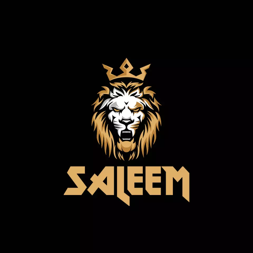 Name DP: saleem
