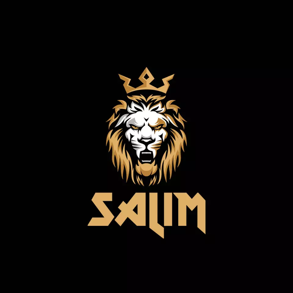 Name DP: salim