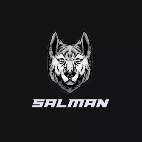 Name DP: salman