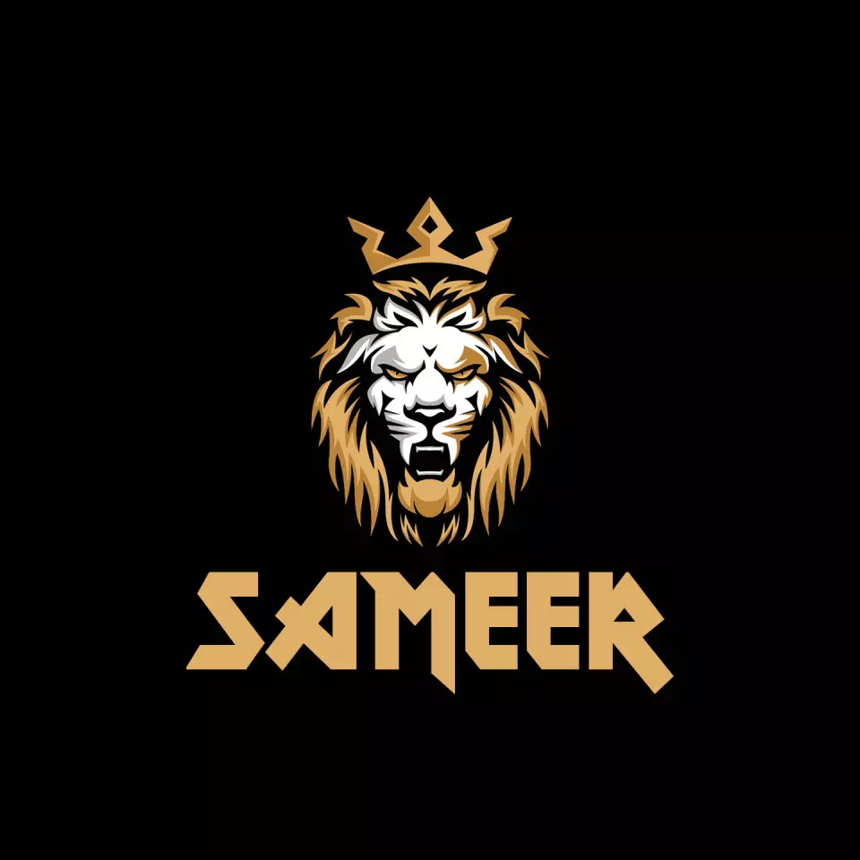Name DP: sameer