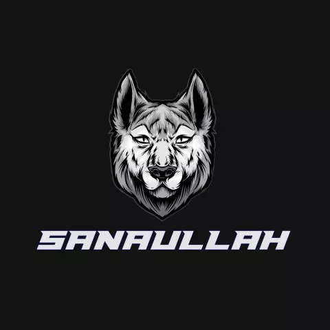 Name DP: sanaullah