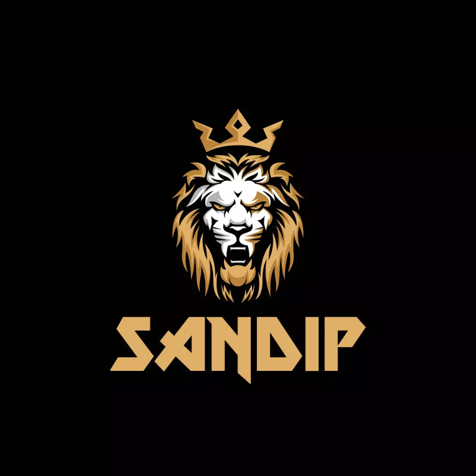 Name DP: sandip