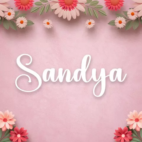 Name DP: sandya