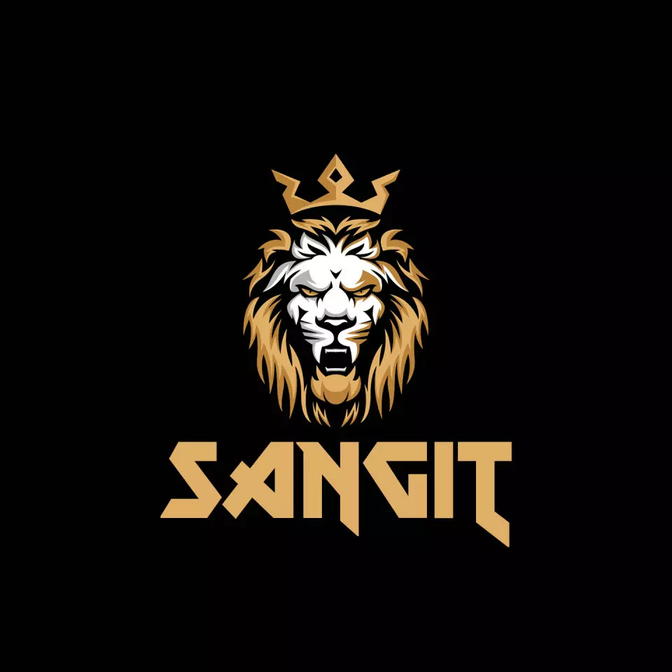 Name DP: sangit