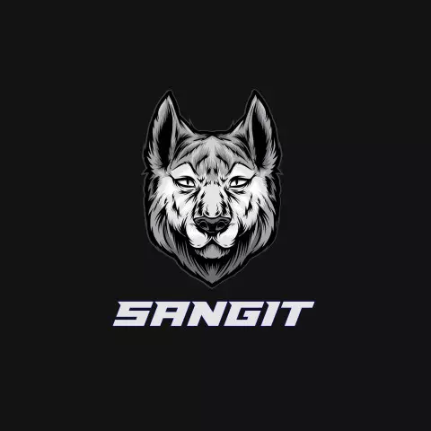Name DP: sangit