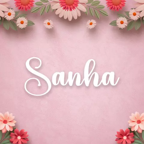 Name DP: sanha