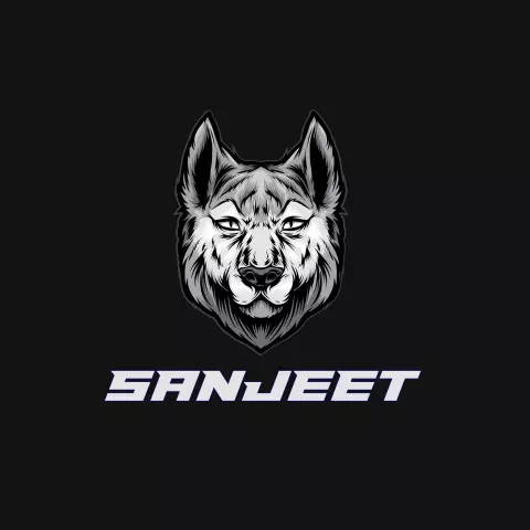 Name DP: sanjeet