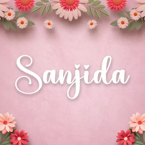 Name DP: sanjida
