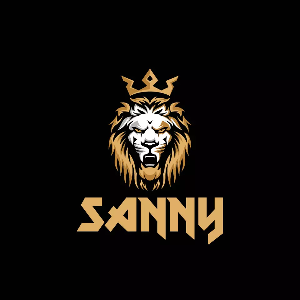 Name DP: sanny