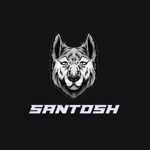 Name DP: santosh