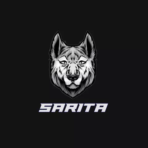 Name DP: sarita