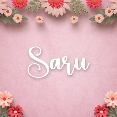 Name DP: saru