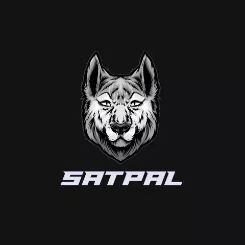 Name DP: satpal