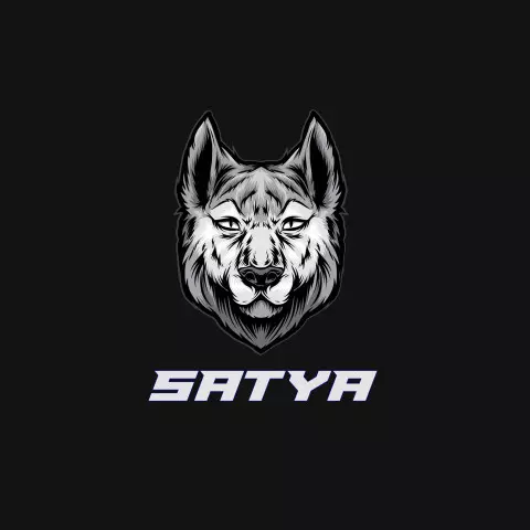 Name DP: satya
