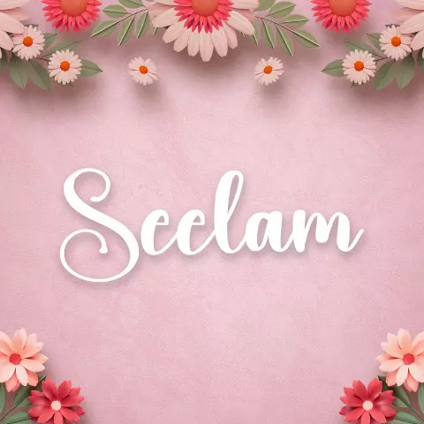 Name DP: seelam