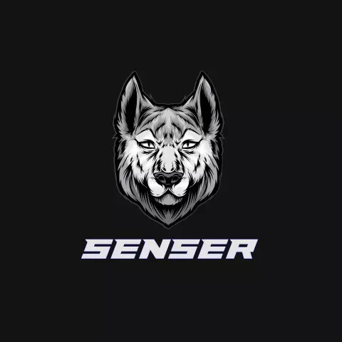 Name DP: senser