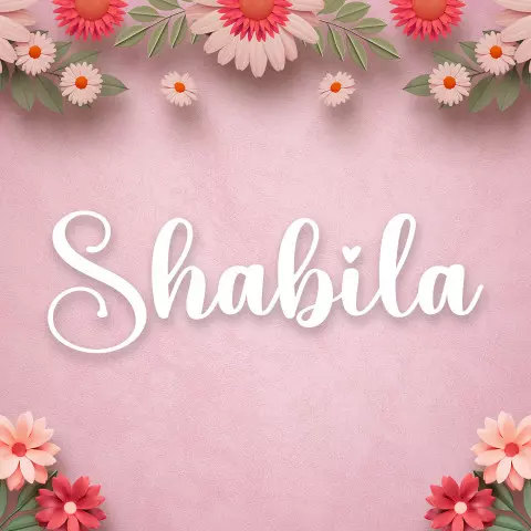 Name DP: shabila