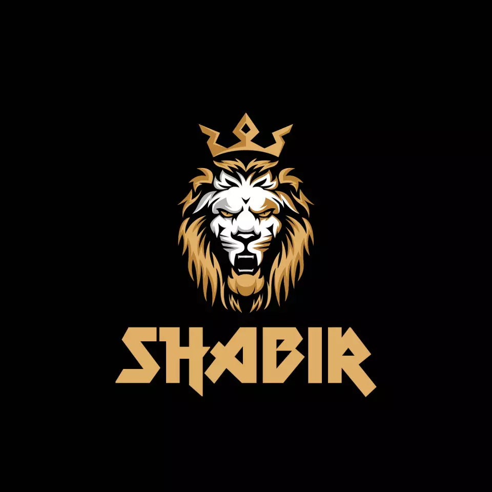 Name DP: shabir