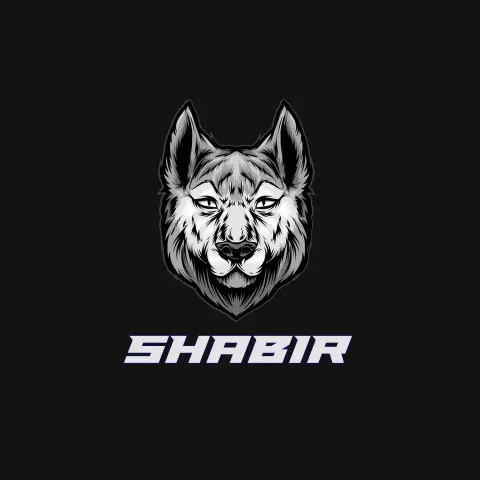 Name DP: shabir