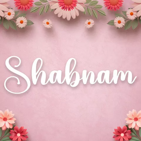 Name DP: shabnam