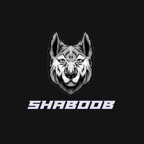 Name DP: shaboob
