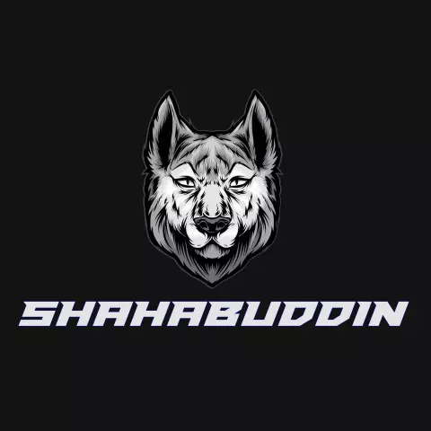 Name DP: shahabuddin